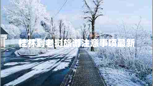 桂林到老撾旅游注意事項(xiàng)最新