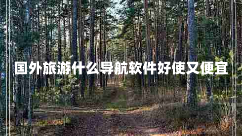 國外旅游什么導航軟件好使又便宜