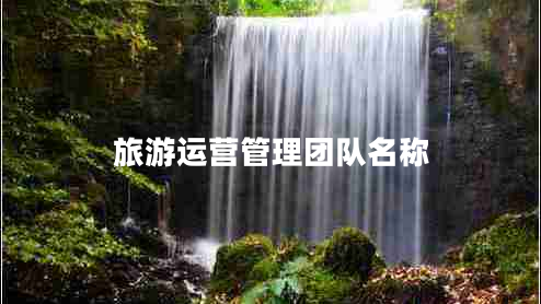 旅游運(yùn)營(yíng)管理團(tuán)隊(duì)名稱