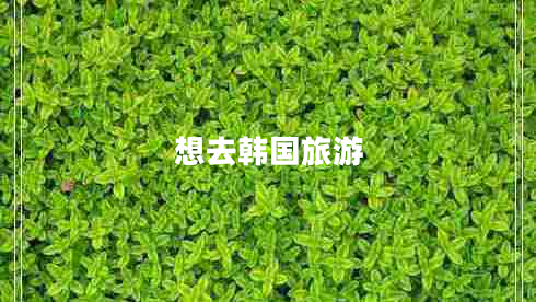 想去韓國旅游