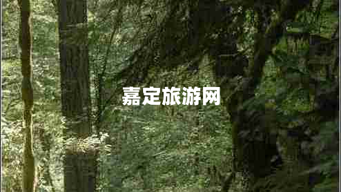 嘉定旅游網(wǎng) 嘉定旅游網(wǎng)