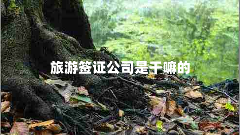 旅游簽證公司是干嘛的 旅游簽證公司是干嘛的