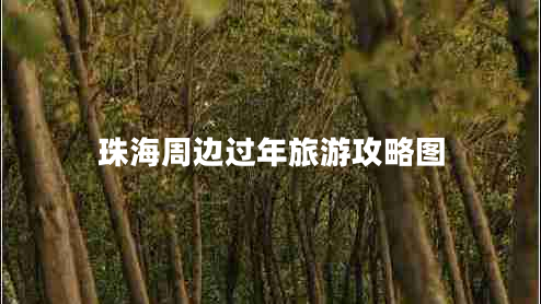 珠海周邊過年旅游攻略圖