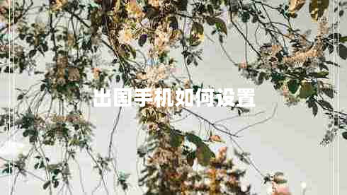 出國手機(jī)如何設(shè)置