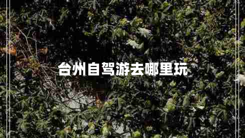 臺州自駕游去哪里玩