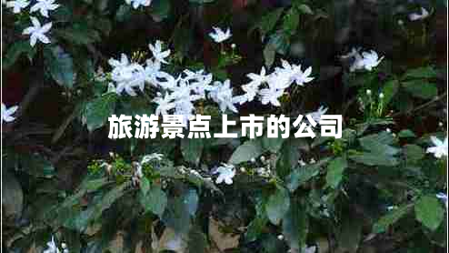 旅游景點上市的公司 旅游景點上市的公司