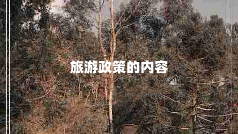 旅游政策的內(nèi)容