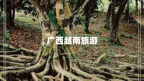 廣西越南旅游 廣西越南旅游