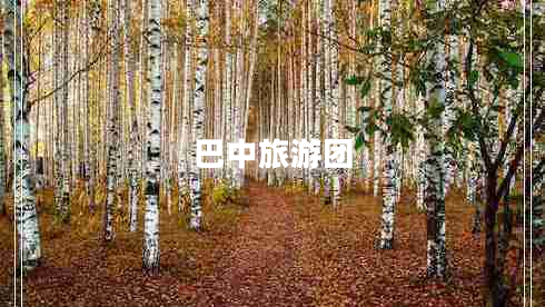 巴中旅游團 巴中旅游團