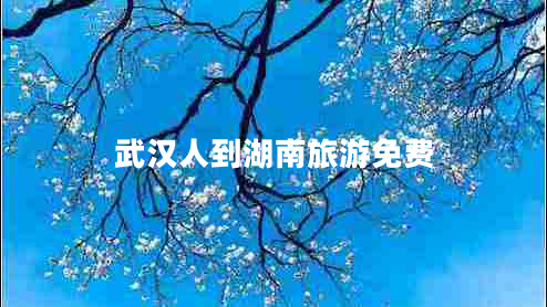 武漢人到湖南旅游免費