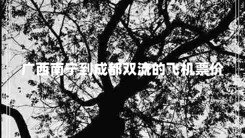 廣西南寧到成都雙流的飛機票價