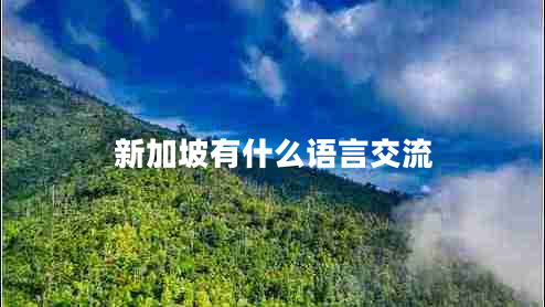 新加坡有什么語言交流