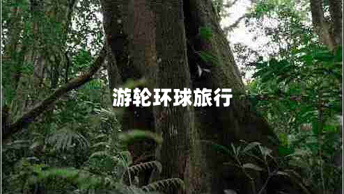 游輪環(huán)球旅行 游輪環(huán)球旅行