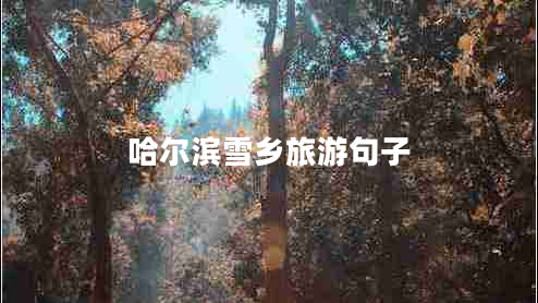 哈爾濱雪鄉(xiāng)旅游句子