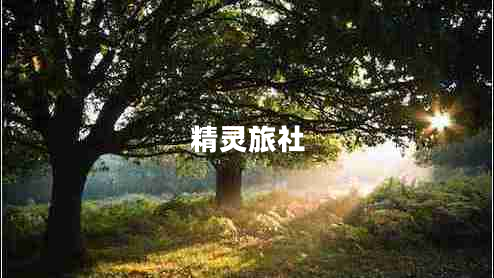 精靈旅社 精靈旅社