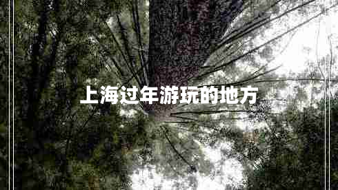 上海過年游玩的地方 上海過年游玩的地方