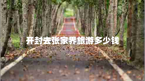 開封去張家界旅游多少錢