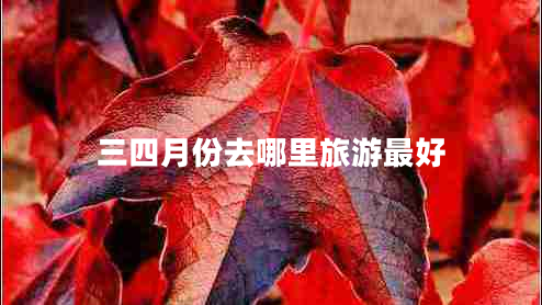 三四月份去哪里旅游最好 三四月份去哪里旅游最好