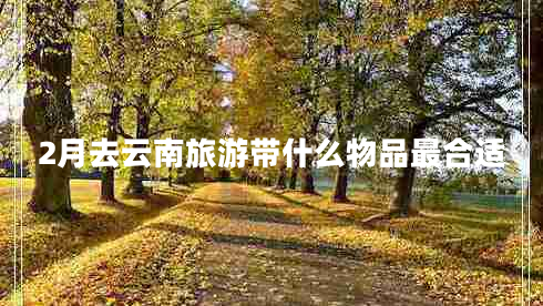 2月去云南旅游帶什么物品最合適 2月去云南旅游帶什么物品最合適