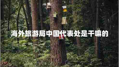 海外旅游局中國(guó)代表處是干嘛的 海外旅游局中國(guó)代表處是干嘛的