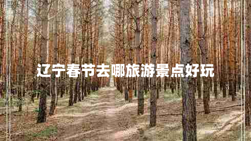 遼寧春節(jié)去哪旅游景點(diǎn)好玩