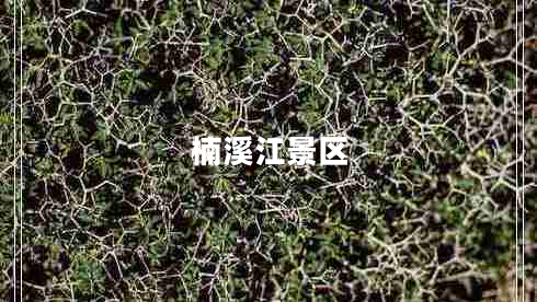 楠溪江景區(qū)