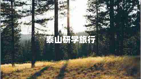 泰山研學(xué)旅行