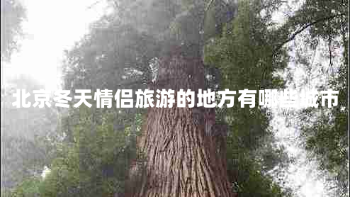 北京冬天情侶旅游的地方有哪些城市 北京冬天情侶旅游的地方有哪些城市