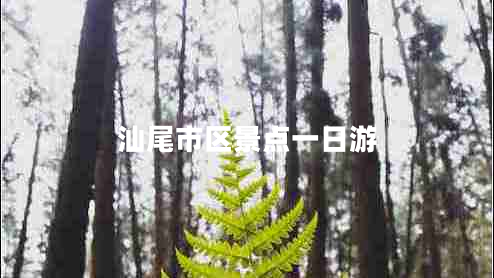 汕尾市區(qū)景點(diǎn)一日游 汕尾市區(qū)景點(diǎn)一日游