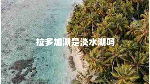 拉多加湖是淡水湖嗎 拉多加湖是淡水湖嗎