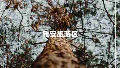 雅安旅游區(qū)