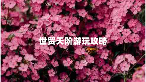 世貿(mào)天階游玩攻略