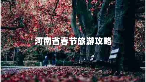 河南省春節(jié)旅游攻略
