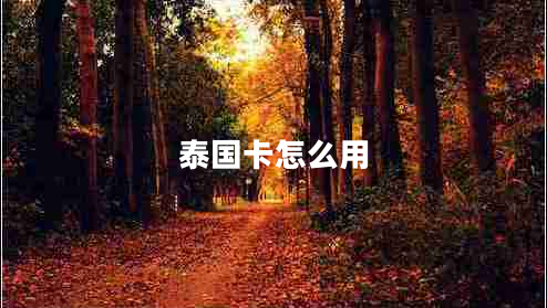 泰國(guó)卡怎么用 泰國(guó)卡怎么用