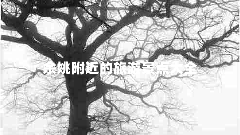 余姚附近的旅游景點(diǎn)大全