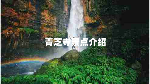 青芝寺景點(diǎn)介紹 青芝寺景點(diǎn)介紹