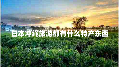 日本沖繩旅游都有什么特產東西