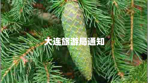 大連旅游局通知