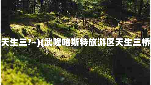 天生三?~)(武隆喀斯特旅游區(qū)天生三橋