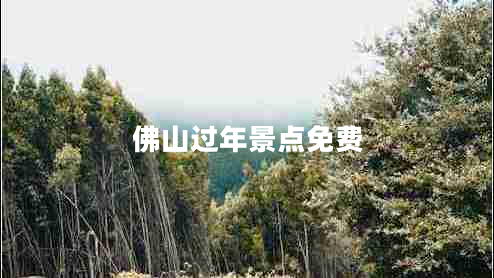 佛山過年景點(diǎn)免費(fèi)