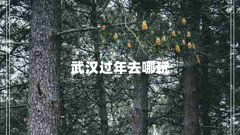 武漢過(guò)年去哪玩