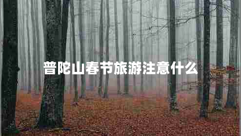 普陀山春節(jié)旅游注意什么 普陀山春節(jié)旅游注意什么