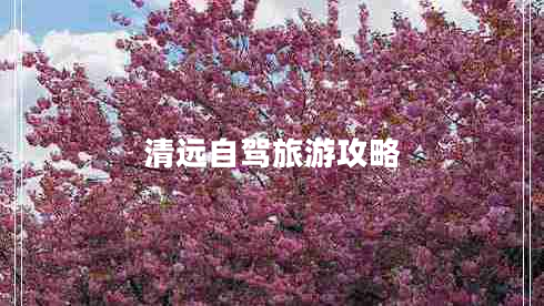 清遠自駕旅游攻略