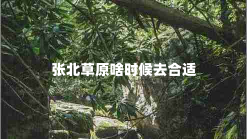 張北草原啥時候去合適 張北草原啥時候去合適