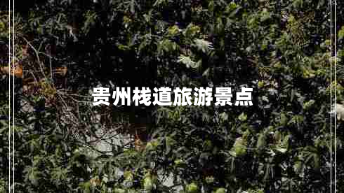 貴州棧道旅游景點(diǎn)