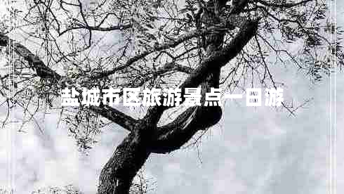 鹽城市區(qū)旅游景點一日游