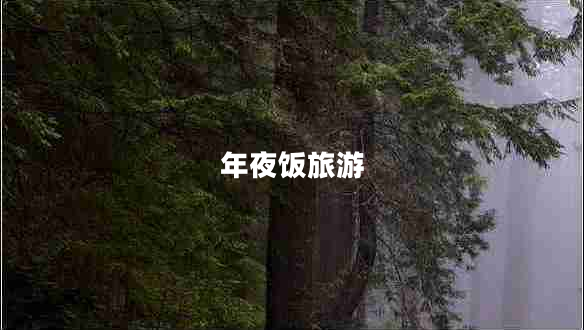 年夜飯旅游