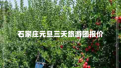 石家莊元旦三天旅游團(tuán)報價 石家莊元旦三天旅游團(tuán)報價