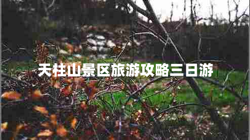 天柱山景區(qū)旅游攻略三日游 天柱山景區(qū)旅游攻略三日游