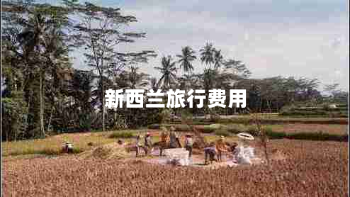 新西蘭旅行費用 新西蘭旅行費用